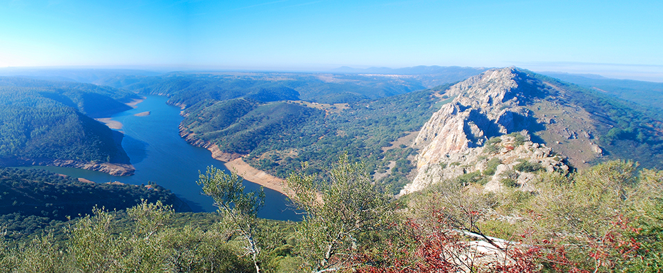 perfil ambiental